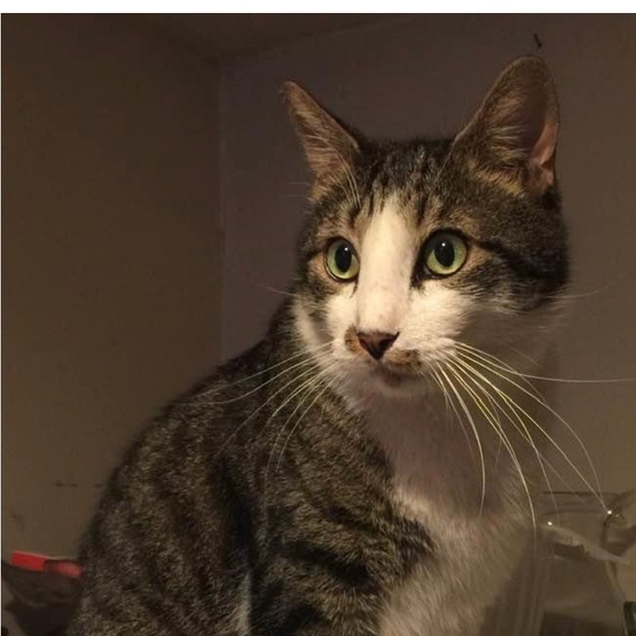 Meet your Posher, Fabiana π€©π - Picture 5 of 15